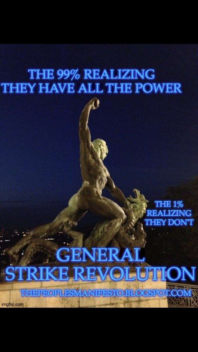 RPM4GeneralStrikeRevolution tweet media