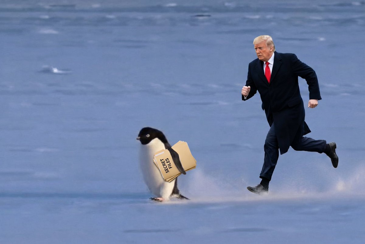RUNNER PENGUIN tweet media