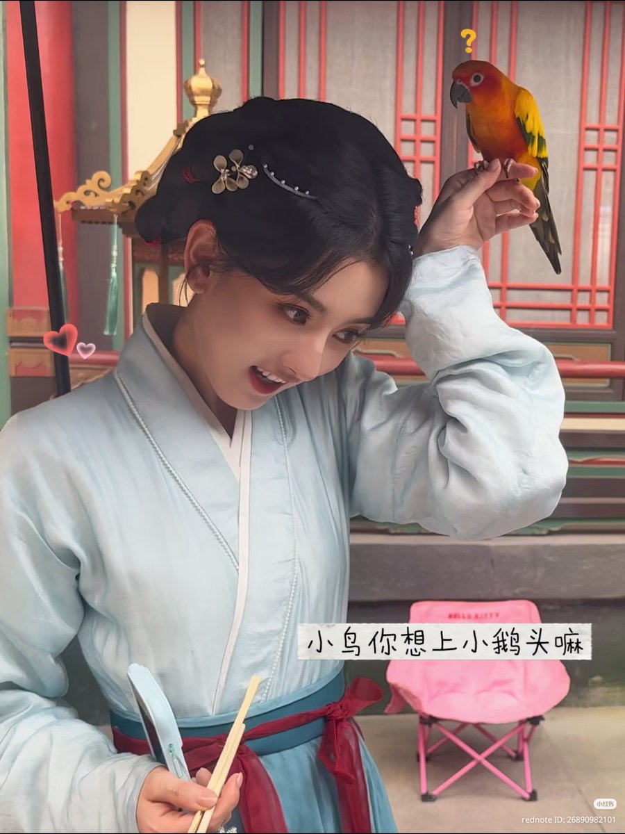 🦢🧸 tweet media