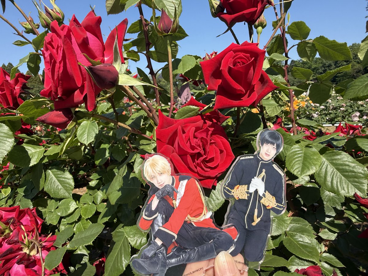 クロエ🌸ヘタコン全部🌏Revoコン全部⛓️ tweet media