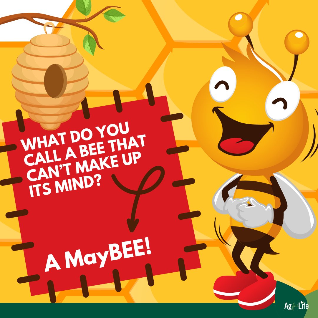 4AgForLife's tweet photo. #FarmFunny Classroom Joke ๐
What do you call a bee that can't make up its mind? https://t.co/CILXQqueTy