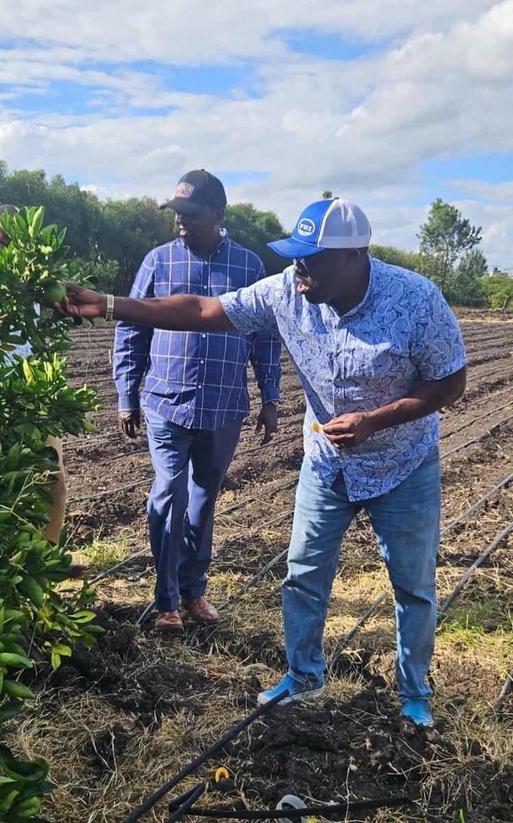 MethoJr's tweet photo. FARM LIFE; An afternoon on the hill  with Hon.Patrick Makau CBS,MP. appreciating  farm life! https://t.co/SYee8s6xot