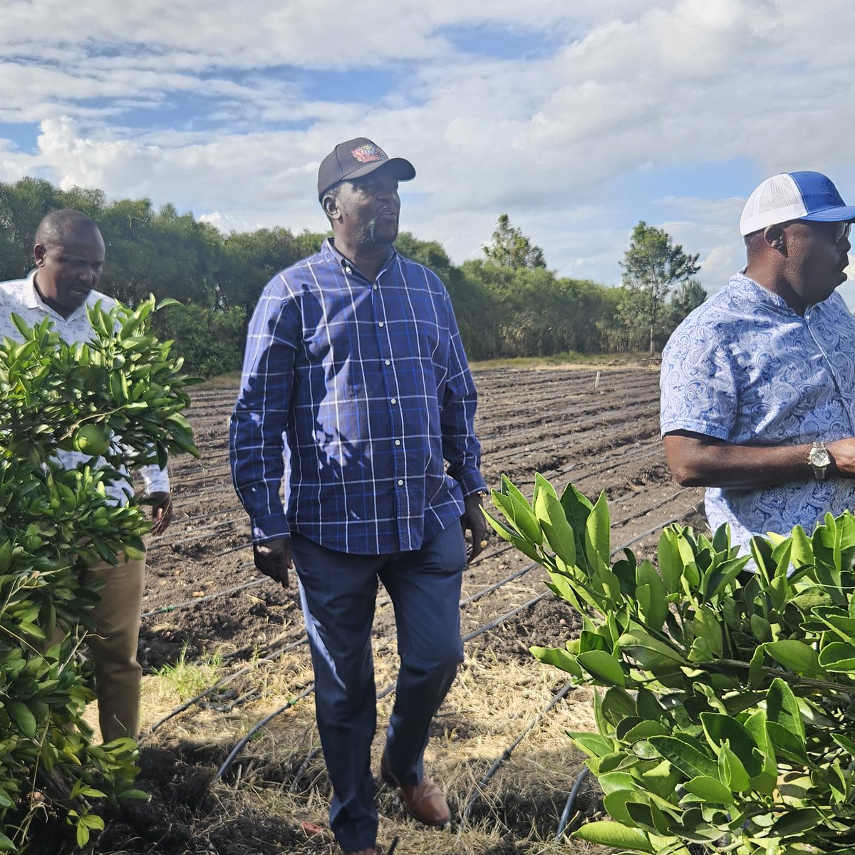 MethoJr's tweet photo. FARM LIFE; An afternoon on the hill  with Hon.Patrick Makau CBS,MP. appreciating  farm life! https://t.co/SYee8s6xot