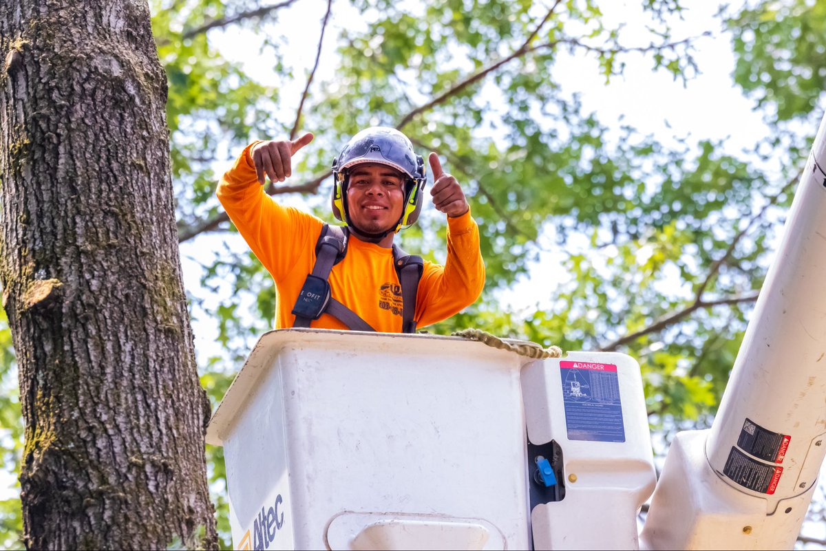 K&J Tree Service tweet media