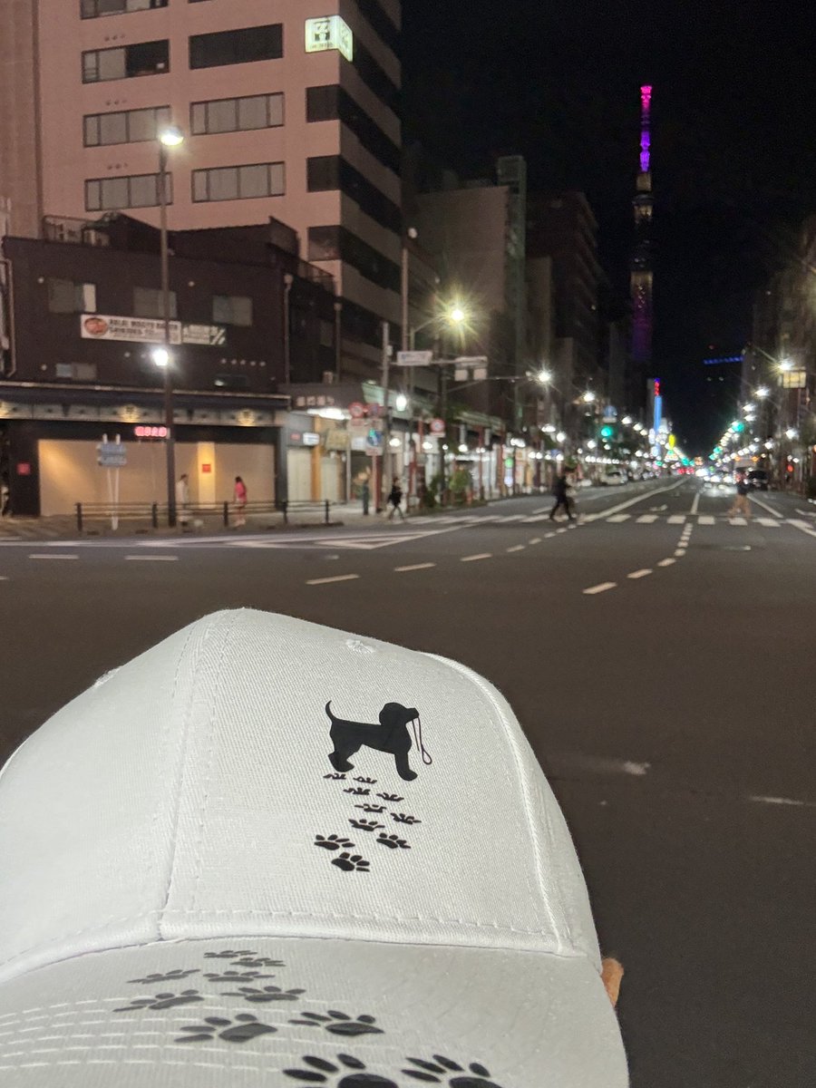 翼の折れた鷲（イーグル） tweet media