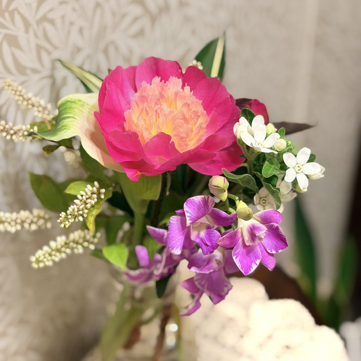 園山真白乃🦋埼玉在住 取材ライター tweet media