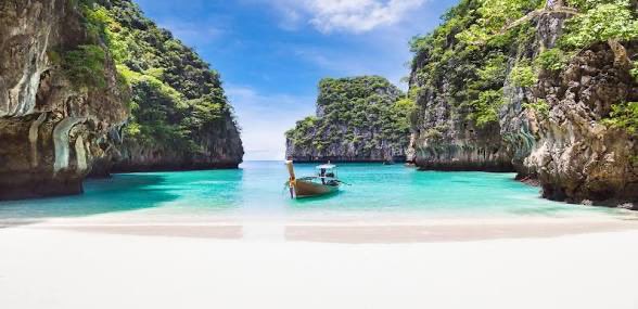 Trần Hạnh Thư | Estelle tweet media