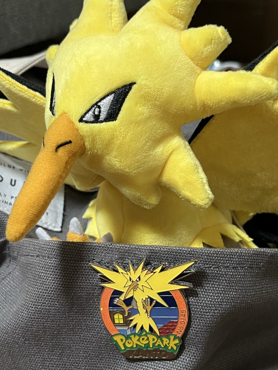 5月12日にポケパークカントーで サンダーのピンバッジを譲ってもらって