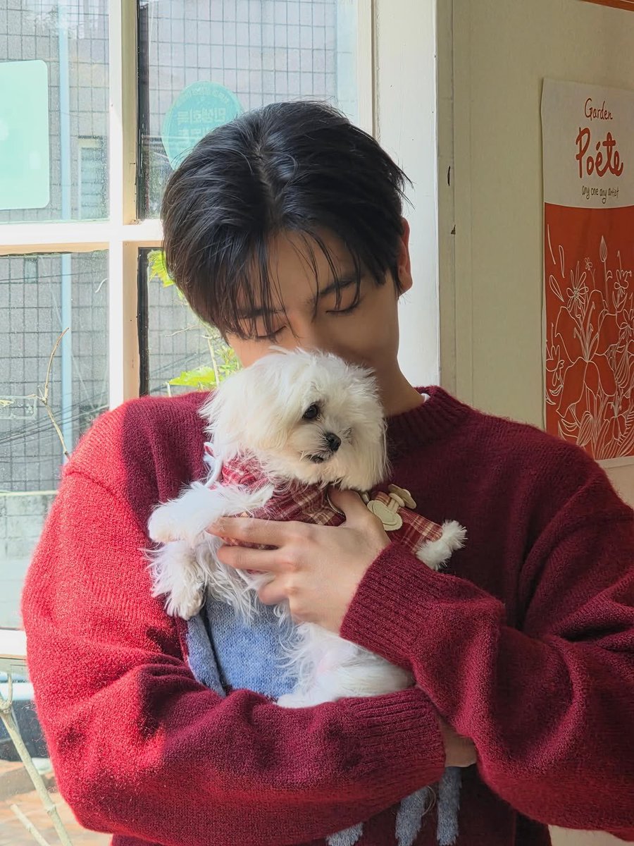 913lurve's tweet photo. 강아지만 보면 코박는 #현재 모음...🐾 https://t.co/4UG6vKiplB