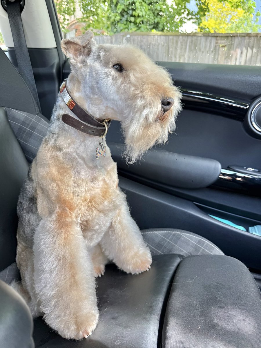 Bertie Lakeland tweet media