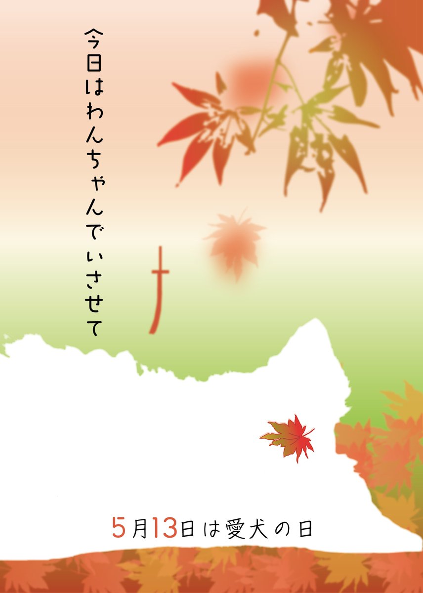 むーちょむちゃむ tweet media