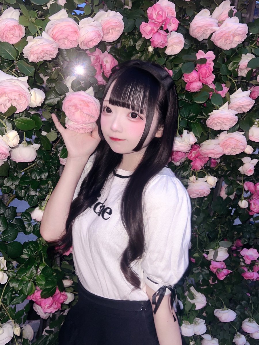 若葉あい🐼 tweet media