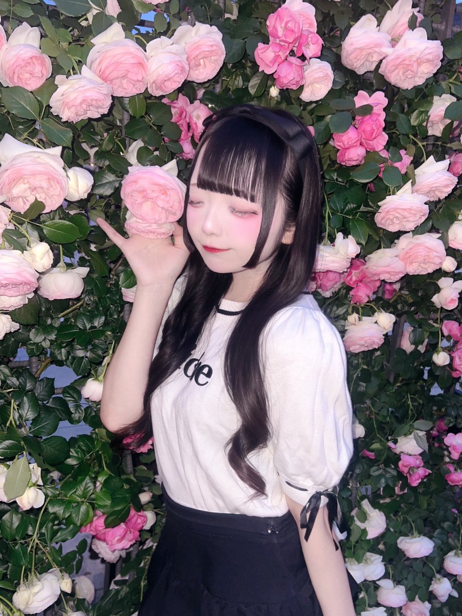 若葉あい🐼 tweet media