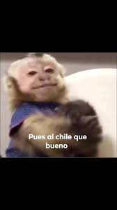 El Rob 𝐗 tweet media