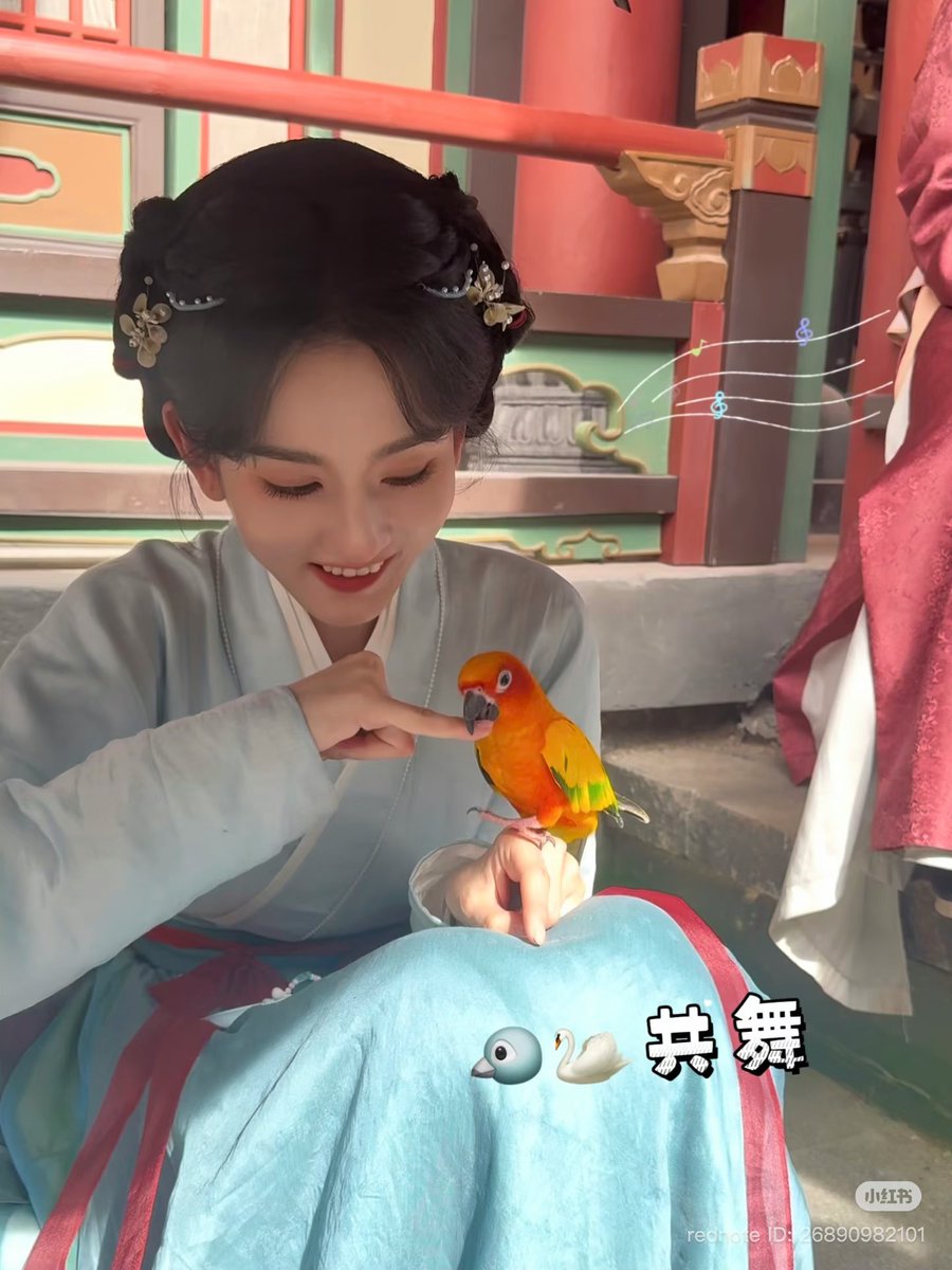 Song Zuer 宋祖儿 updates tweet media