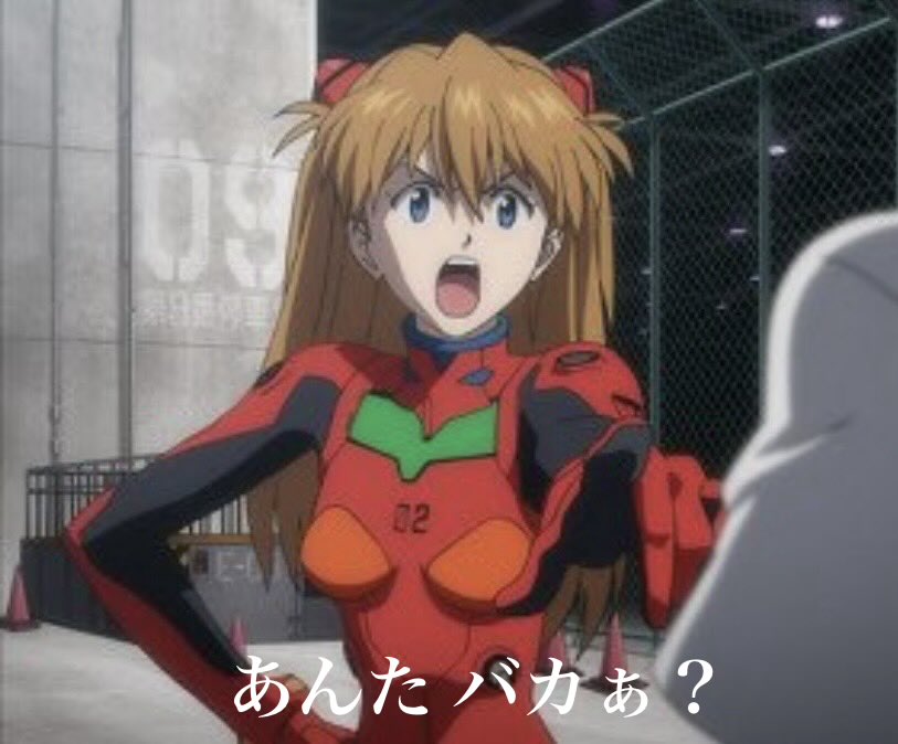 てんちゃん tweet media