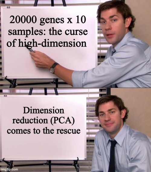 tangming2005's tweet photo. Ever wondered why analyzing RNA-seq data feels like walking through a fog with 20,000 dimensions?
 Let’s talk about the curse of dimensionality in bioinformatics—and why it’s not just a math problem, it’s a biological one. 🧵 https://t.co/LvGn4LOpzG