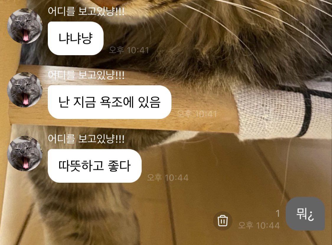찌이~ (상태:야르모띠) tweet media