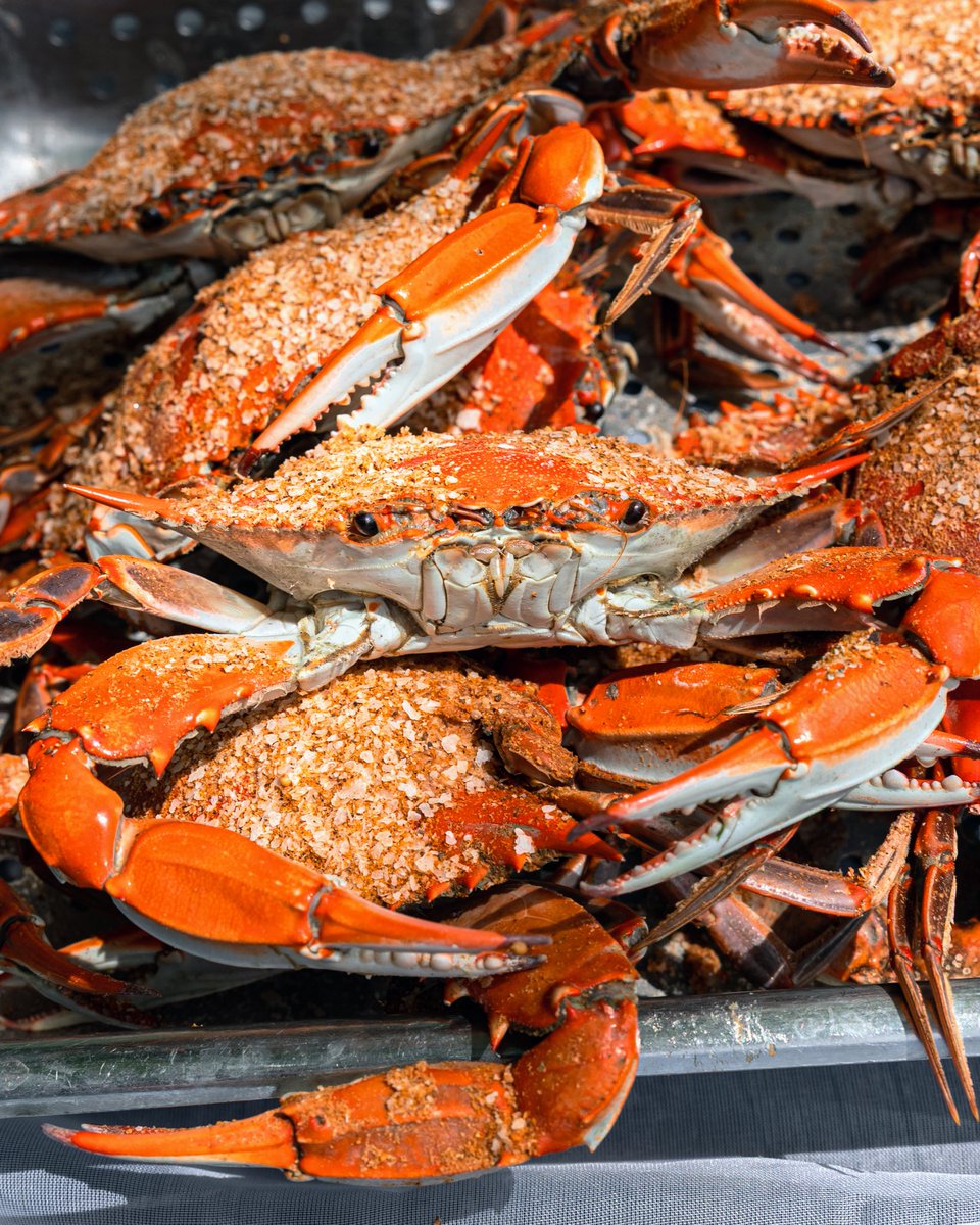 Jimmy’s Famous Seafood tweet media