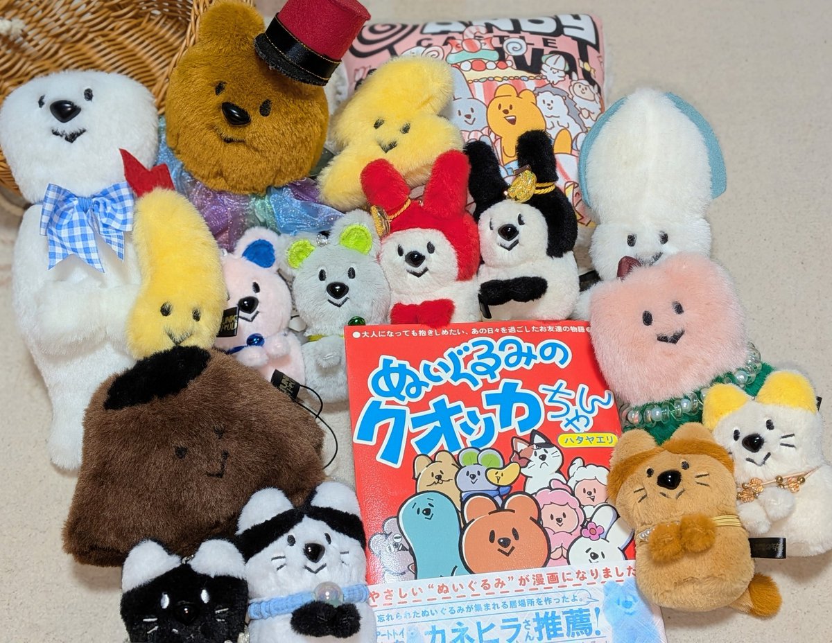 クオッカちゃんの単行本📕 #ぬいぐるみのクオッカちゃん GETしたよ