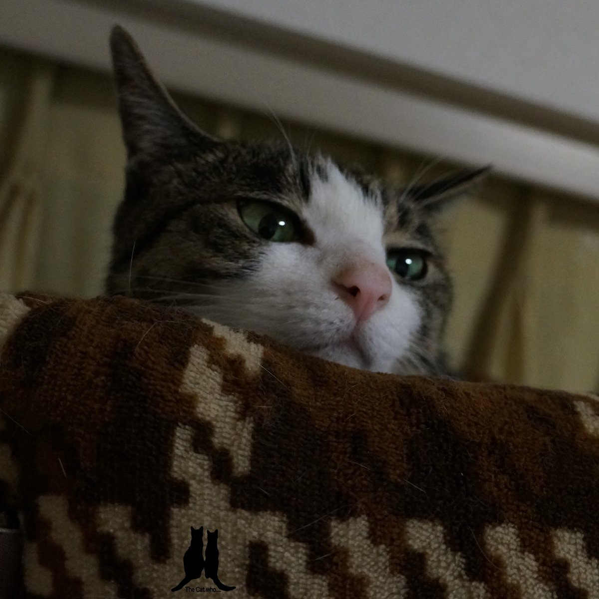 おやすみなさい🌛