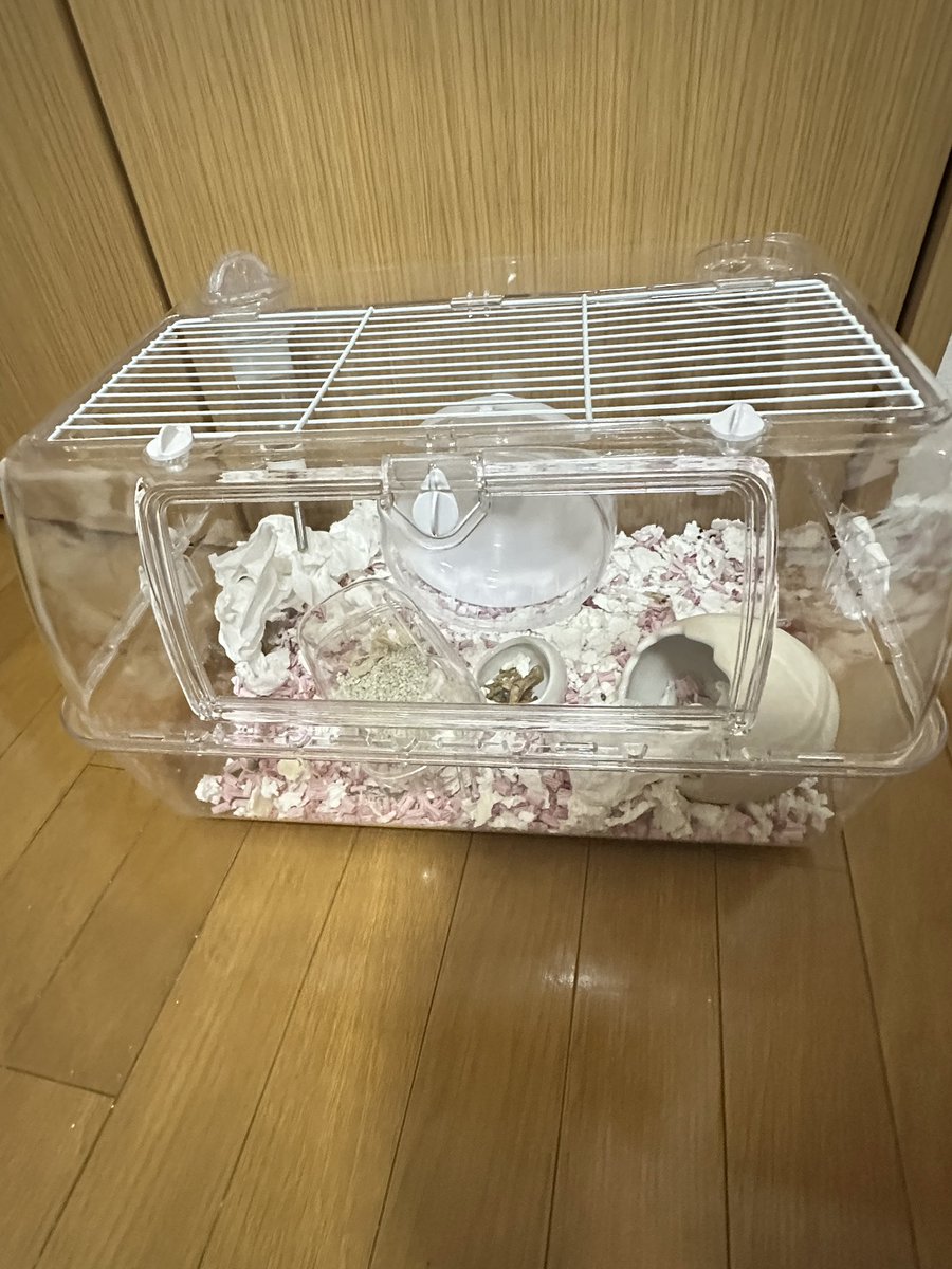 来栖 tweet media