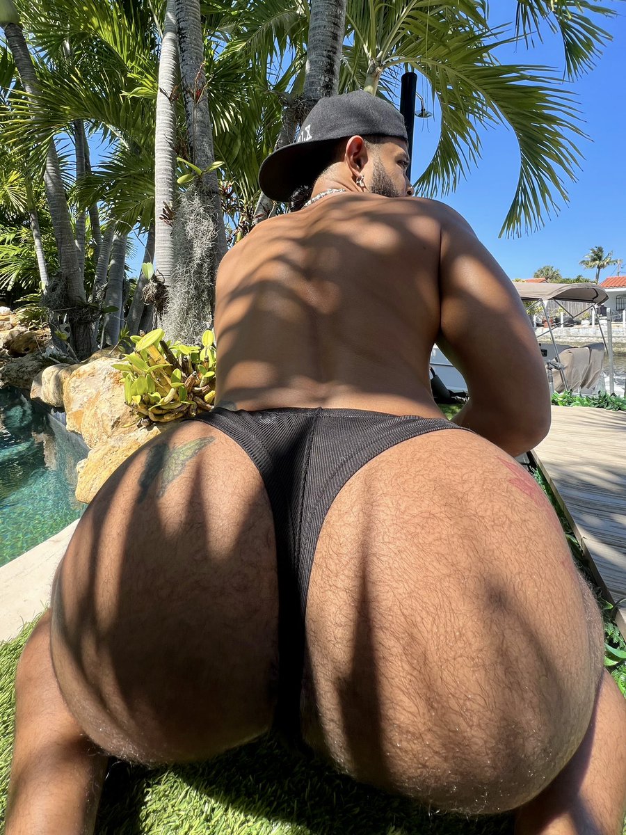 PAPI WILL⚜️ VE 🇻🇪 May-June tweet media