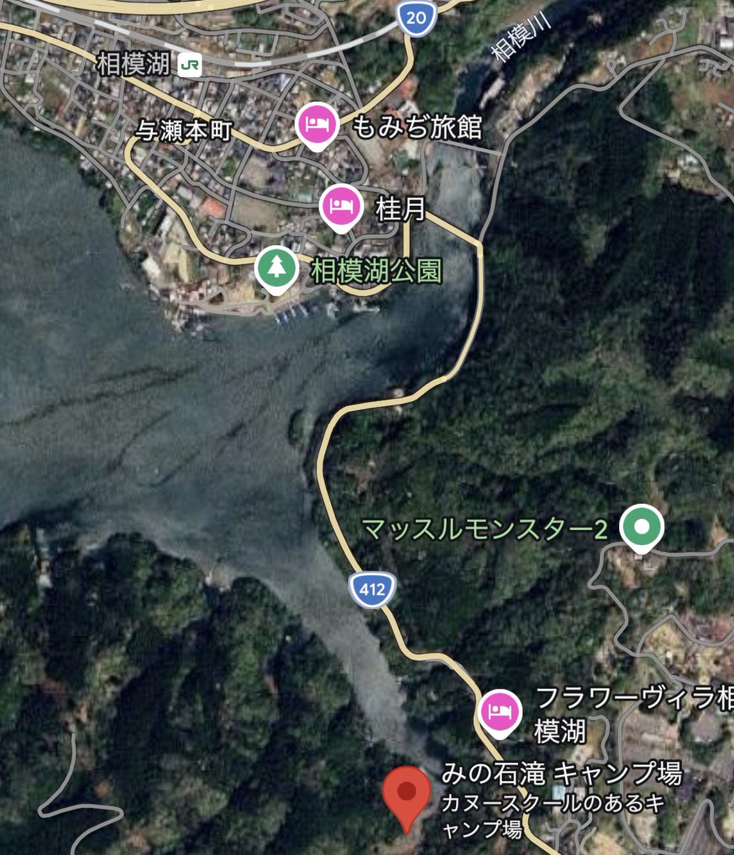 大場礼 tweet media