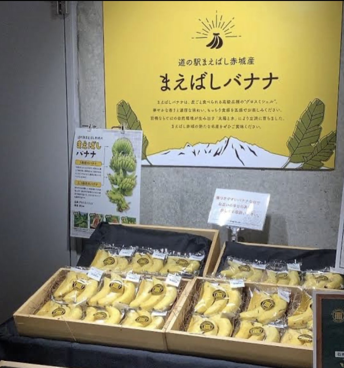 上毛物語 上毛の魅力を全国に⛩️ 《群馬県地域創生》 tweet media