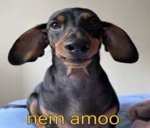 panicat do vila união tweet media