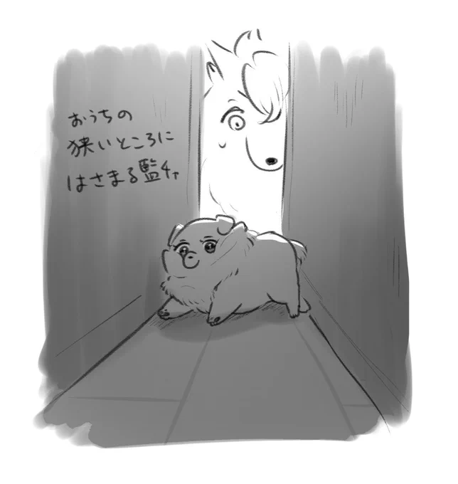 愛犬の日のらくがき 