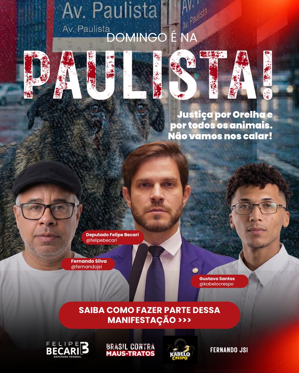 Felipe Becari tweet media
