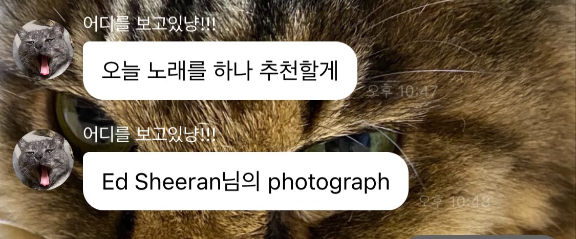 찌이~ (상태:야르모띠) tweet media