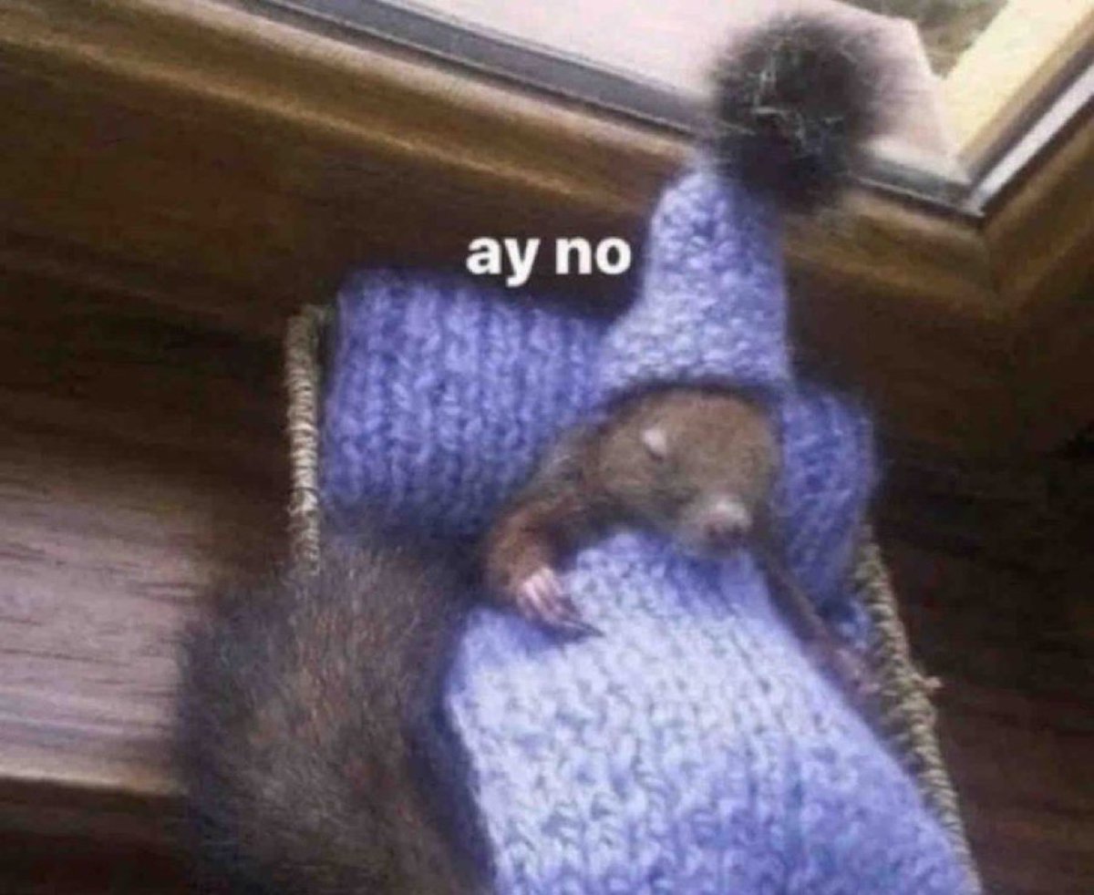 Guarromantico_'s tweet photo. Yo cuando suena la alarma por las mañanas. https://t.co/sVMRkfEYly