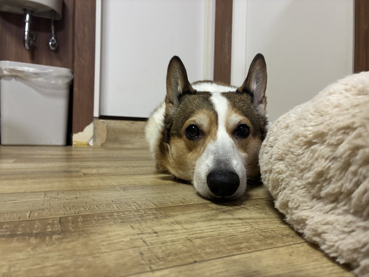 ｷﾗｷﾗ tweet media