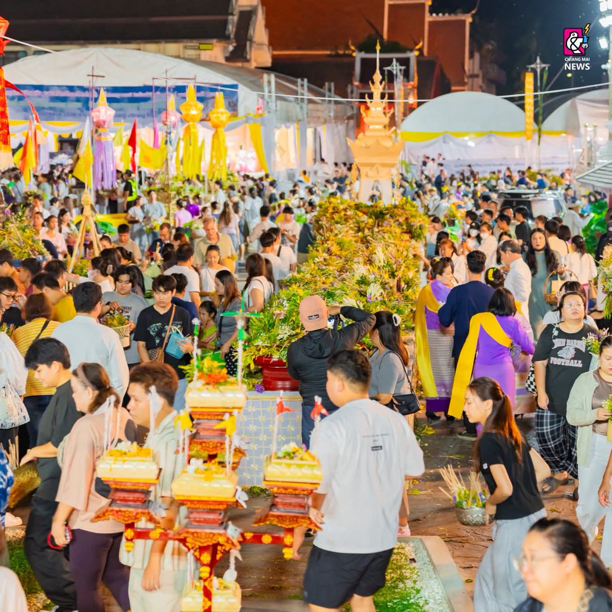 Chiang Mai News tweet media