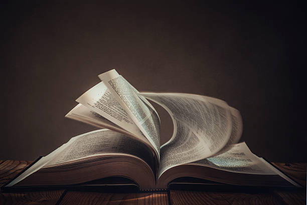 BackyardBooks's tweet photo. Attention horror &amp; mystery authors! Do you have a book that sends shivers down the spine or keeps readers guessing till the end? We're looking for the next bestsellers to promote. Share your masterpiece with us! #HorrorBooks #MysteryBooks https://t.co/WCEMdhA0Um https://t.co/PmMQj4enpm