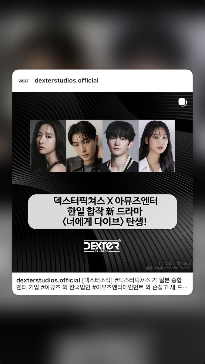 보나 아카이브 tweet media