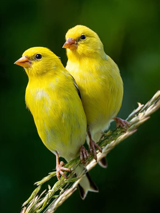 NuRi tweet media