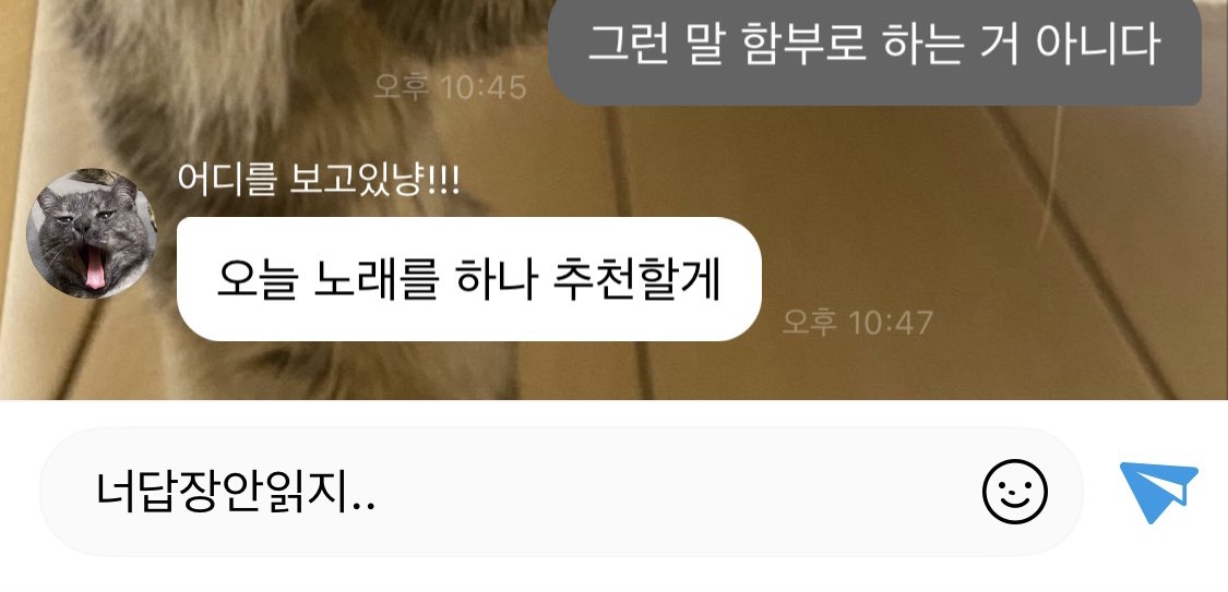 찌이~ (상태:야르모띠) tweet media