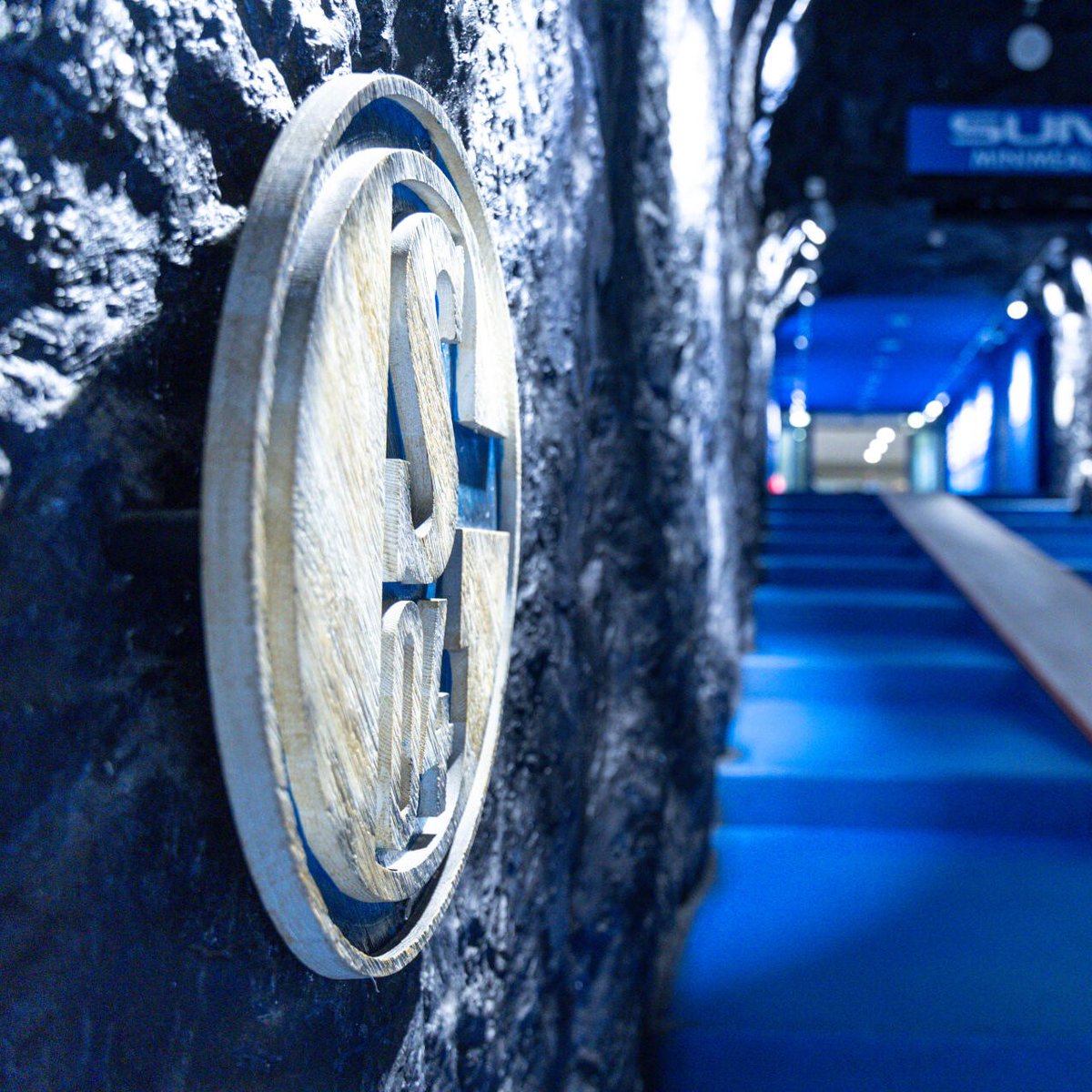 FC Schalke 04 tweet media