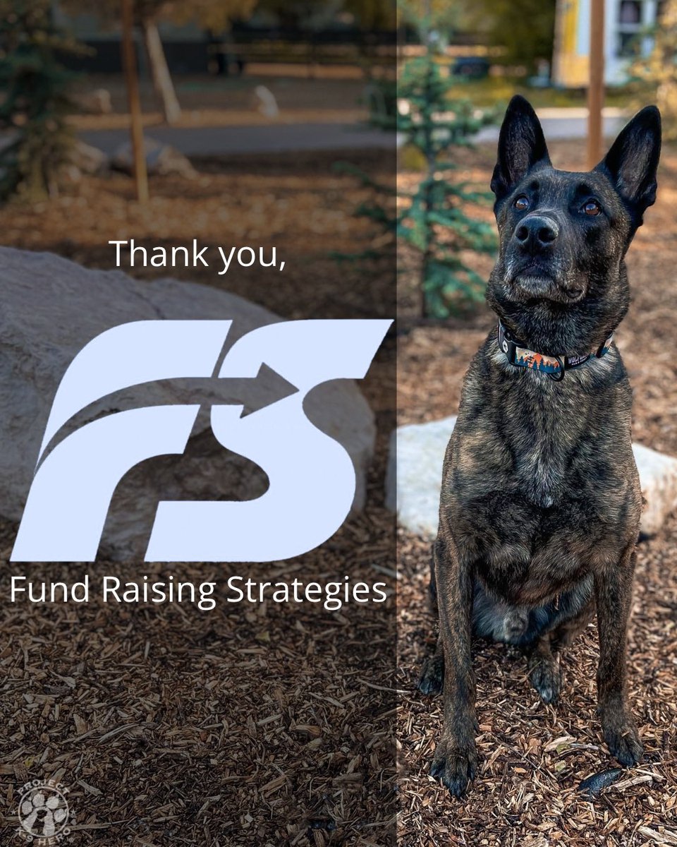 Project K9 Hero tweet media