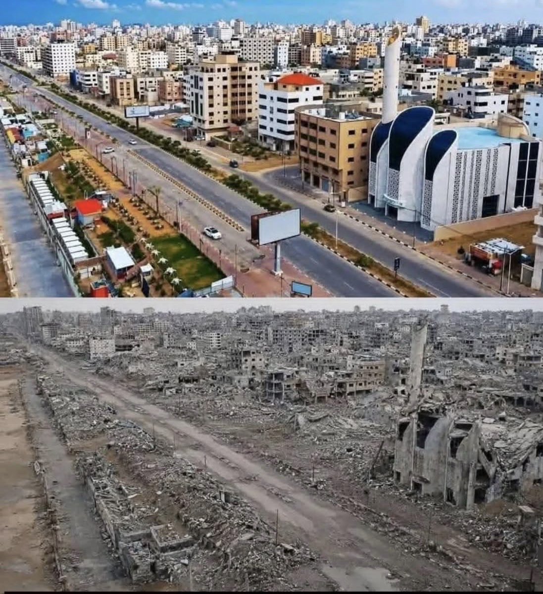 Samira Mohyeddin سمیرا tweet media