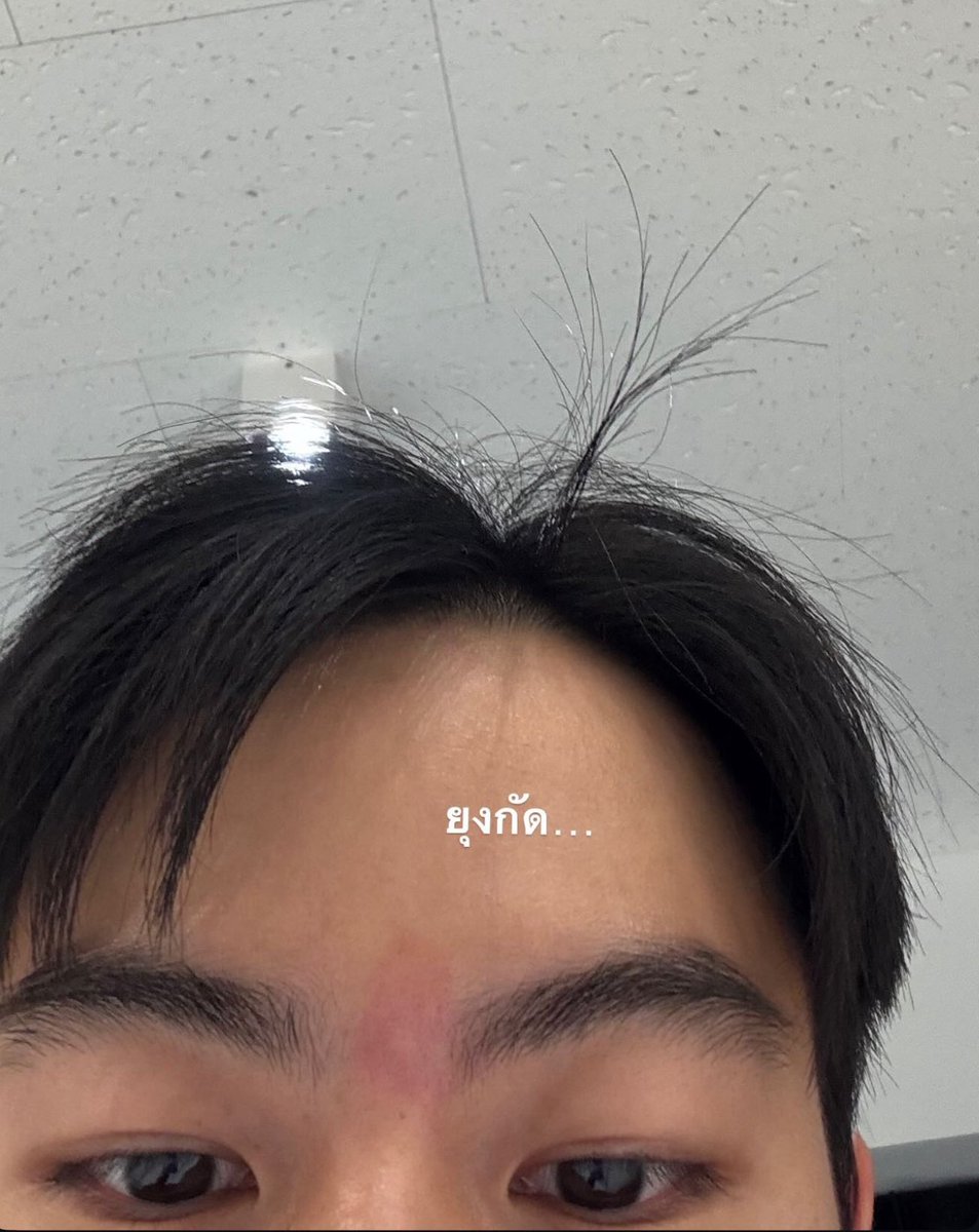 บิ๊กมัม* tweet media