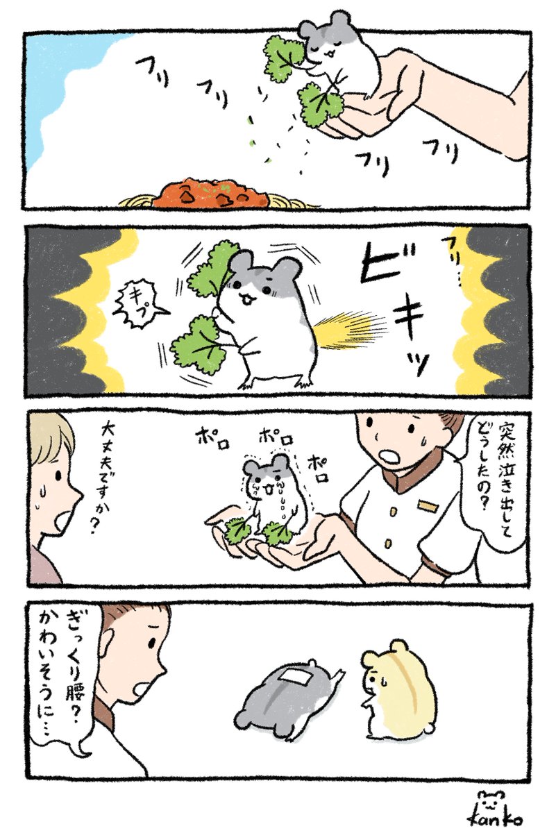 kanko*パセリハム tweet media