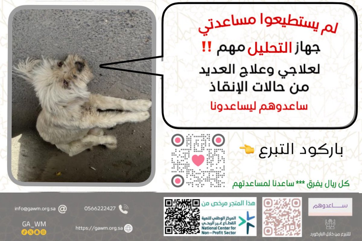 GA__WM's tweet photo. "لم يستطيعوا مساعدتي.. لأنهم لم يعرفوا ما بي!" 😿
هذا هو الوجع الحقيقي؛ أن تصل الحالة للملجأ ولا نستطيع البدء بالعلاج لأننا لا نملك تحليل الدم اللازم لتشخيصها. لا توجد حالة إنقاذ واحدة يمكننا علاجها بأمان دون فحص دم شامل.
جهاز التحليل هو المفتاح لإنقاذهم من الألم. ساعدونا لنساعدهم.
📍 تبرع عبر الرابط : https://t.co/HVytso7ts0
انشر ساعد صوتهم يصل للجميع