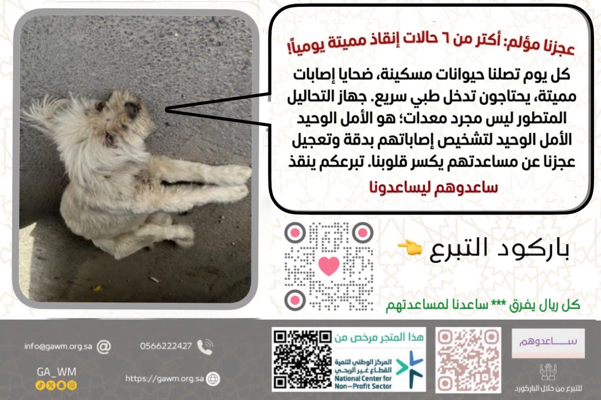 GA__WM's tweet photo. "لم يستطيعوا مساعدتي.. لأنهم لم يعرفوا ما بي!" 😿
هذا هو الوجع الحقيقي؛ أن تصل الحالة للملجأ ولا نستطيع البدء بالعلاج لأننا لا نملك تحليل الدم اللازم لتشخيصها. لا توجد حالة إنقاذ واحدة يمكننا علاجها بأمان دون فحص دم شامل.
جهاز التحليل هو المفتاح لإنقاذهم من الألم. ساعدونا لنساعدهم.
📍 تبرع عبر الرابط : https://t.co/HVytso7ts0
انشر ساعد صوتهم يصل للجميع