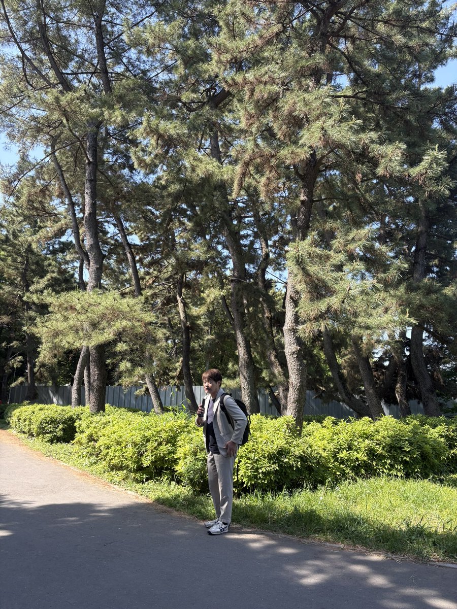 yukari tweet media