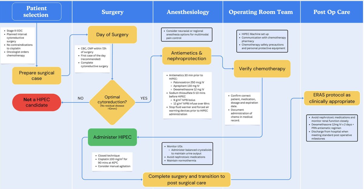 SurgOncInsight's tweet photo. An update on #HIPEC in #OvarianCancer treatment: landmark trials, key controversies + practical tips for implementation. Review an institutional HIPEC protocol with multidisciplinary lens. @AaronPraissMD @zivanovicmd  @ROCearbhaill @alicejdarling @dchimd

https://t.co/7lHe33kRTS https://t.co/GdoxCKe87I