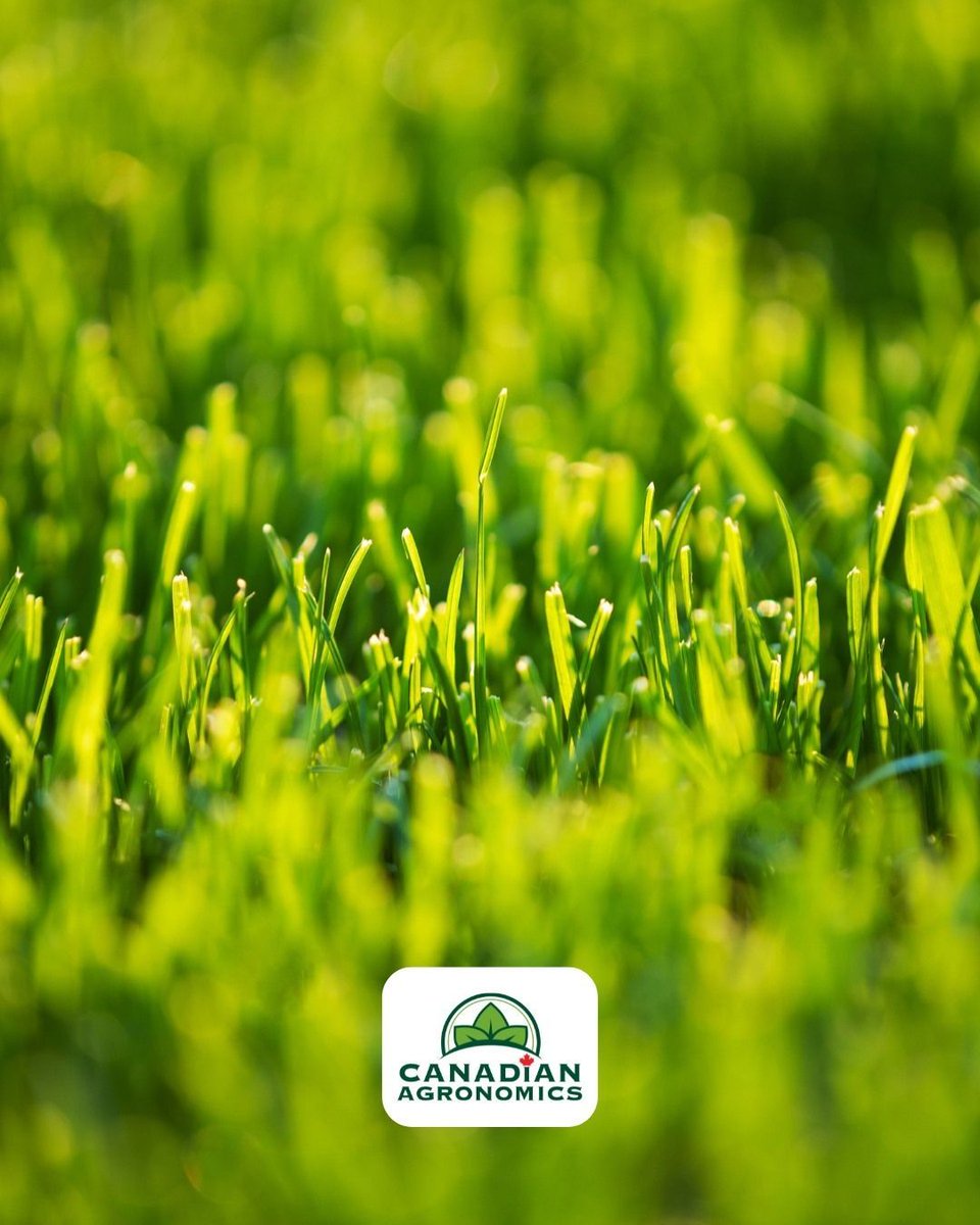Canadian Agronomics tweet media